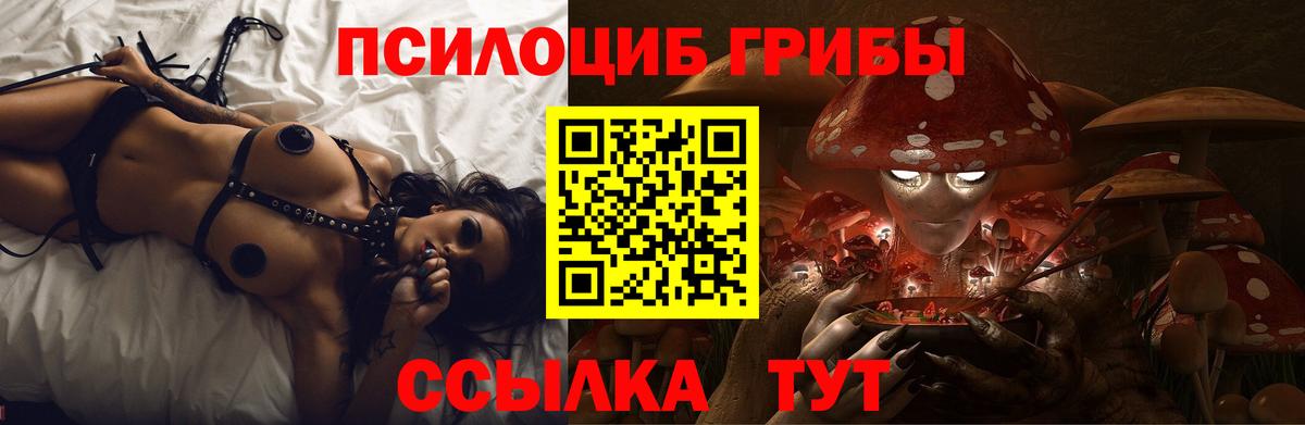 Псилоцибиновые грибы Cubensis Альметьевск